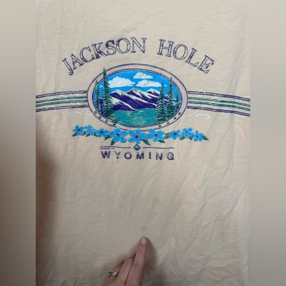 Vintage Single Stitch Tee Anvil Jackson Hole Wyoming T-Shirt XL - Picture 5 of 6